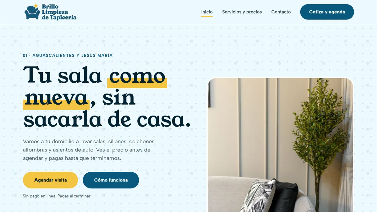 Brillo Limpieza de Tapicería